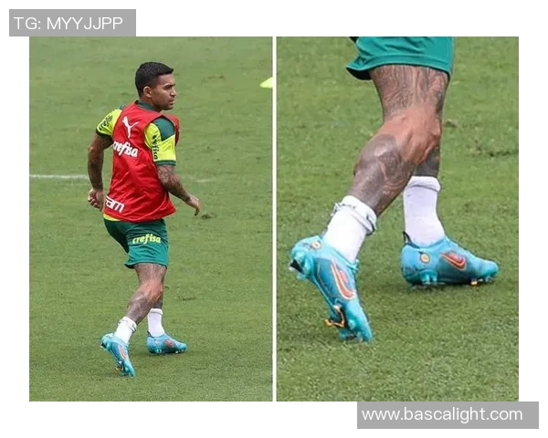 如何正确存放球星足球鞋以延长其使用寿命与保持性能